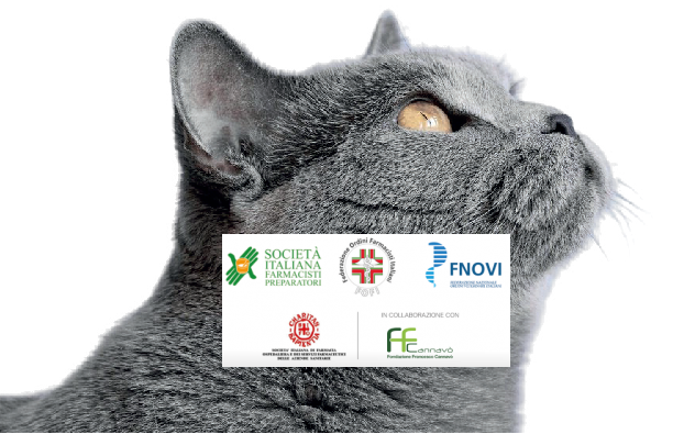 WEBINAR - PERITONITE INFETTIVA FELINA (FIP): FORME FARMACEUTICHE ALLESTIBILI IN FARMACIA